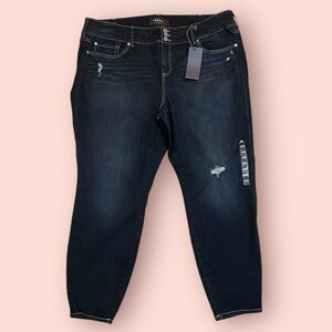 Torrid Jeggings Plus Size 26